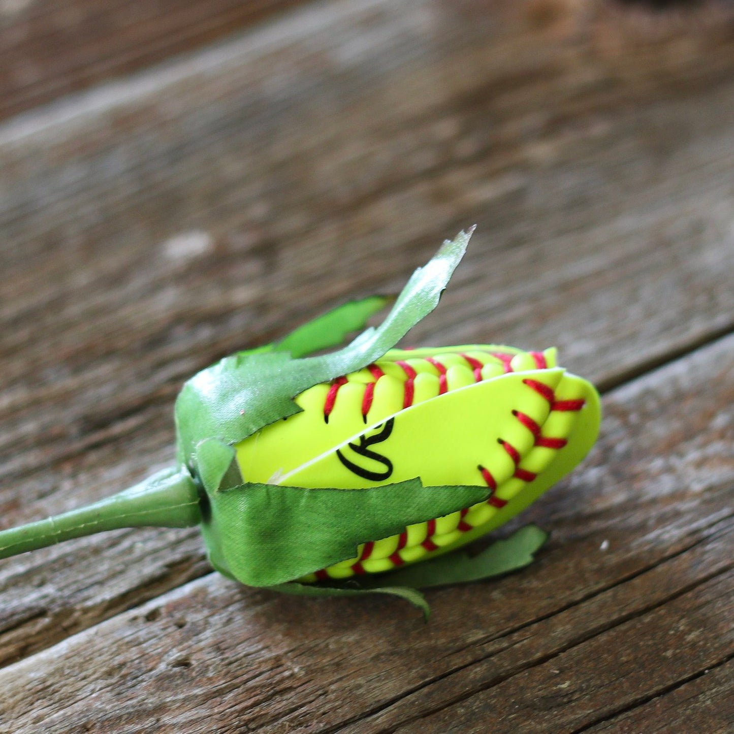 SOFTBALL ROSEBUD