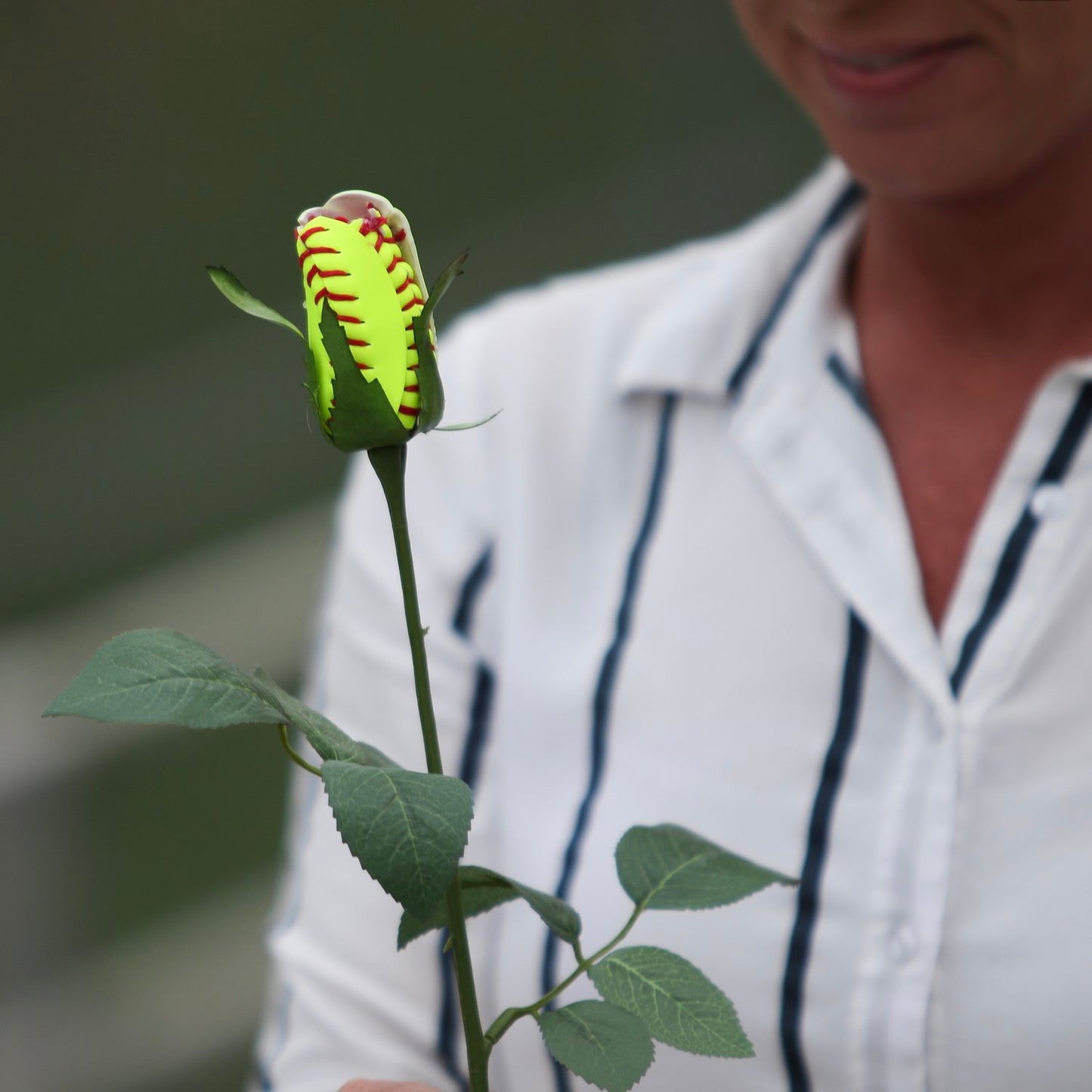 SOFTBALL ROSEBUD